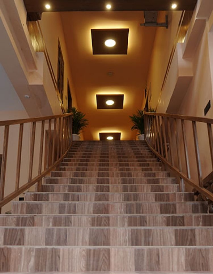 مركز سوفيدا الايورفيدا