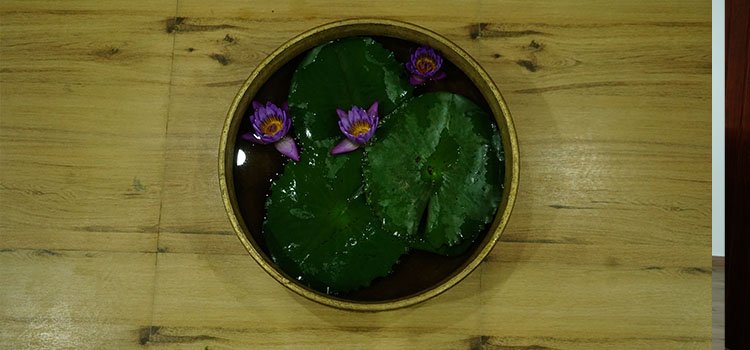 Suveda Ayurvedic Centre